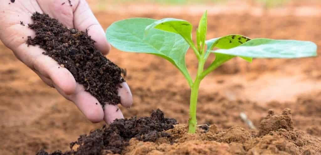 عمومية الدولية للأسمدة تُقر توزيع أسهم مجانية لزيادة رأس المال
